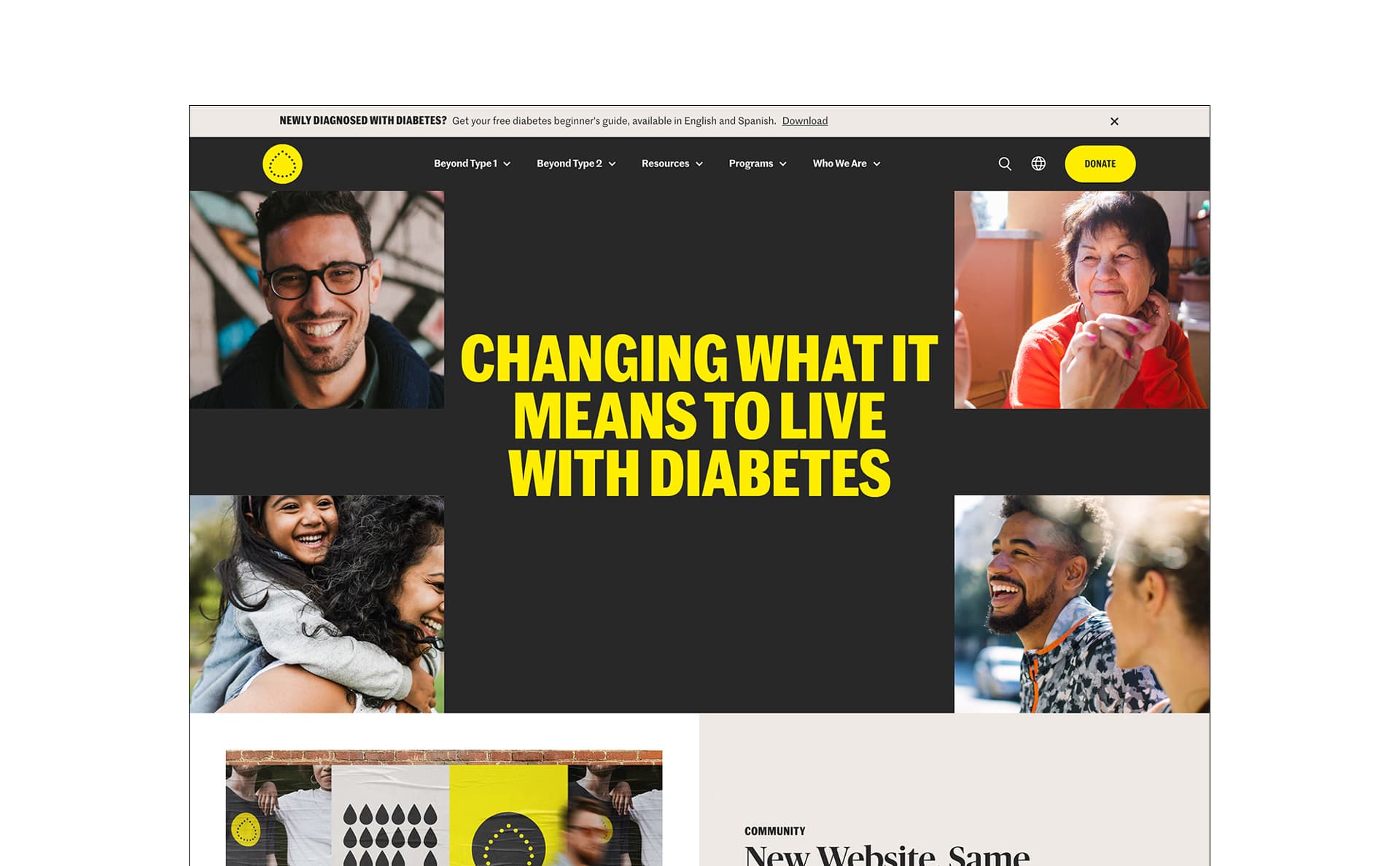 Homepage screen of Beyond Type 1 site